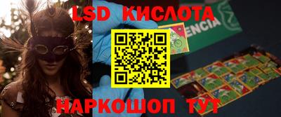 индика Кандалакша