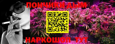 ГАЛЛЮЦИНОГЕННЫЕ ГРИБЫ Камышлов