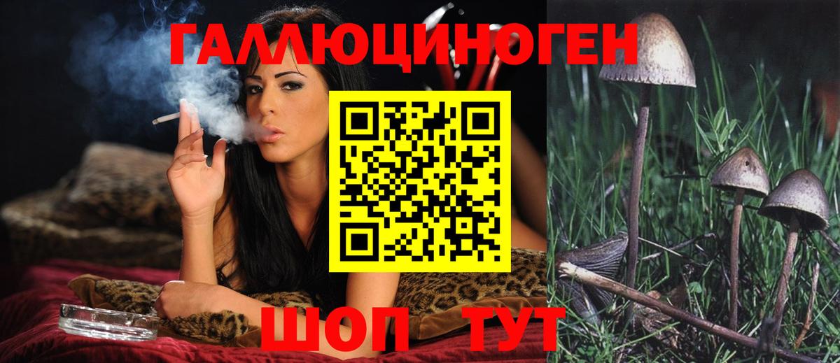 Электросталь  Галлюциногенные грибы GOLDEN TEACHER  Вход с VPN 
