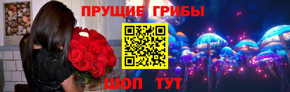 Галлюциногенные грибы Psilocybe Электросталь